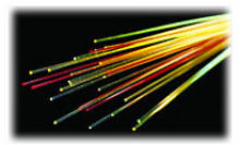 Fiber Optic Assortment