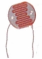 CdS Photo Cell