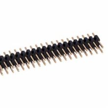 40x2 Headerstrip